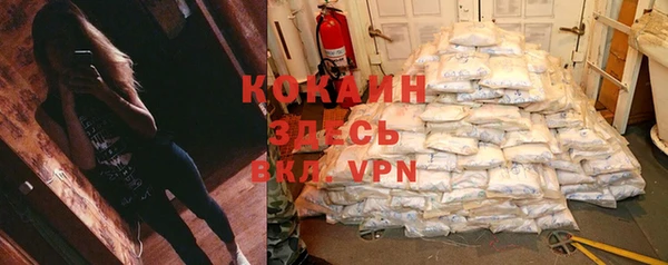 хмурый Вяземский