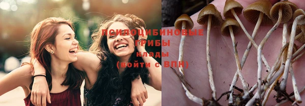хмурый Вяземский
